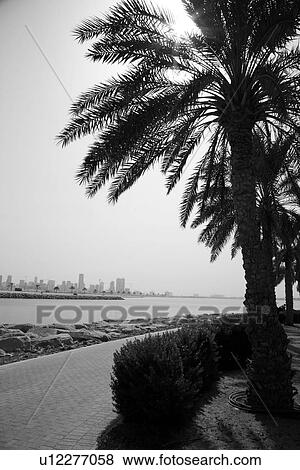 dubai, mamzar, madina, jumeirah, burj, arab View Large Photo Image Stock Photo - dubai, mamzar, madina, jumeirah, burj, arab. Fotosearch