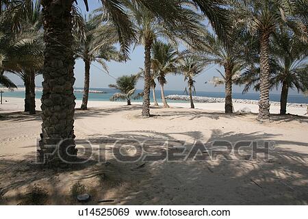 dubai, mamzar, madina, jumeirah, burj, arab View Large Photo Image Stock Photo - dubai, mamzar, madina, jumeirah, burj, arab. Fotosearch