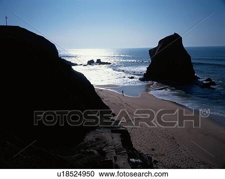Person Walking On Beach View Large Photo Image Stock Image - Person Walking On Beach. Fotosearch