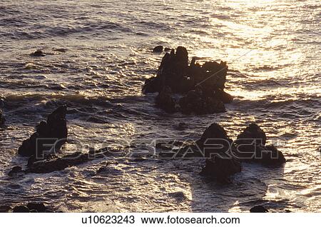 Stock Image - Reef. Fotosearch