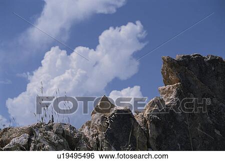 Rocks View Large Photo Image Stock Photograph - Rocks. Fotosearch