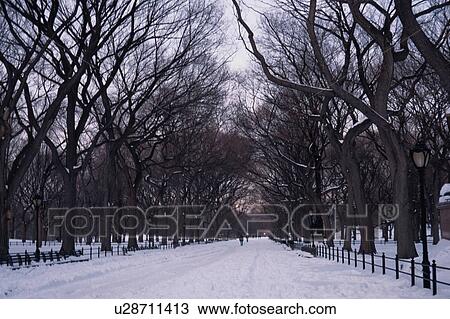 Park In Snow View Large Photo Image Stock Image - Park In Snow. Fotosearch