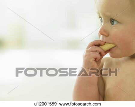 Baby eating a cookie View Large Photo Image Stock Photo - Baby eating a cookie. Fotosearch