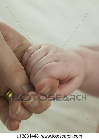 Baby holding a hand View Large Photo Image Stock Photo - Baby holding a hand. Fotosearch