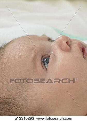 Baby's face close up View Large Photo Image Stock Image - Baby's face close up. Fotosearch