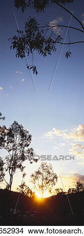 Landscape view with trees and blue sky View Large Photo Image Picture - Landscape view with trees and blue sky. Fotosearch