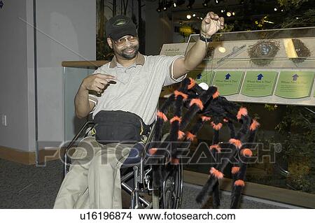 Man with a disability, utilizing a wheelchair for mobility, showing off an exhibit. View Large Photo Image Picture - Man with a disability, utilizing a wheelchair for mobility, showing off an exhibit.. Fotosearch