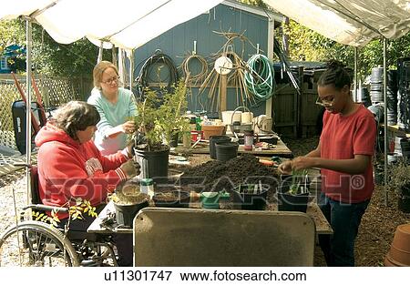 Two women with disabilities enjoying their work repotting plants at a garden center. View Large Photo Image Stock Photo - Two women with disabilities enjoying their work repotting plants at a garden center.. Fotosearch