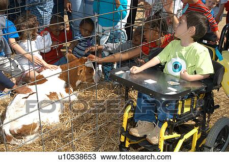 Little boy with disabilities and other children having fun at a petting zoo. View Large Photo Image Stock Image - Little boy with disabilities and other children having fun at a petting zoo.. Fotosearch