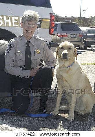 SheriffÆs deputy with service dog at a community information booth View Large Photo Image Stock Image - SheriffÆs deputy with service dog at a community information booth. Fotosearch