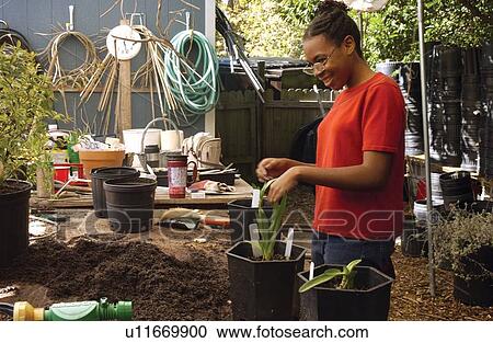 Young woman with a disability enjoying her work repotting plants at a garden center. View Large Photo Image Stock Image - Young woman with a disability enjoying her work repotting plants at a garden center.. Fotosearch