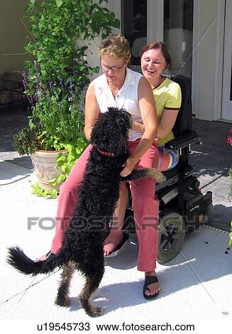 Stock Image - Family dog jumps on Mom seated on the lap of daughter (wheelchair user).. Fotosearch