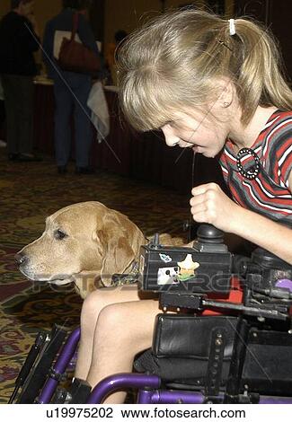 Little girl with multiple disabilities utilizing a powered chair for mobility and a service dog for assistance. View Large Photo Image Stock Image - Little girl with multiple disabilities utilizing a powered chair for mobility and a service dog for assistance.. Fotosearch