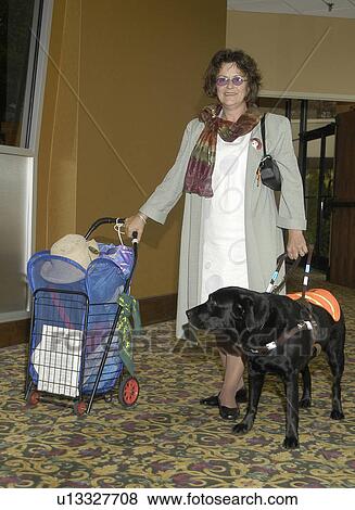 Woman with a visual impairment/blindness on her way to work with the assistance of a seeing-eye dog. View Large Photo Image Stock Photo - Woman with a visual impairment/blindness on her way to work with the assistance of a seeing-eye dog.. Fotosearch