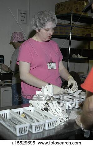 Woman working in a kitchen doing food service prep. View Large Photo Image Stock Photography - Woman working in a kitchen doing food service prep.. Fotosearch