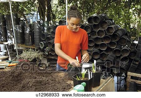 Young woman with a disability enjoying her job repotting plants at a garden center. View Large Photo Image Stock Image - Young woman with a disability enjoying her job repotting plants at a garden center.. Fotosearch