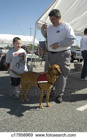Man introduces boy to service dog at a community fair View Large Photo Image Stock Photo - Man introduces boy to service dog at a community fair. Fotosearch