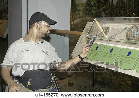 Man with a disability, utilizing a wheelchair for mobility, visiting an exhibit. View Large Photo Image Stock Image - Man with a disability, utilizing a wheelchair for mobility, visiting an exhibit.. Fotosearch
