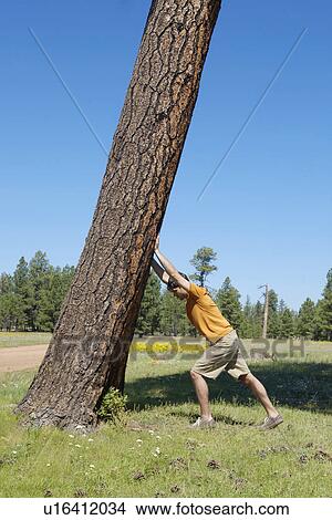 Young man leaning on inclined tree View Large Photo Image Picture - Young man leaning on inclined tree. Fotosearch