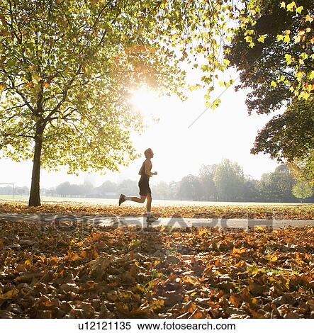 Young man running in park. View Large Photo Image Stock Photography - Young man running in park.. Fotosearch