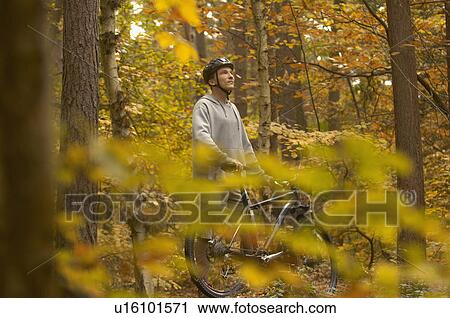 Man cycling in Autumn woods View Large Photo Image Stock Image - Man cycling in Autumn woods. Fotosearch