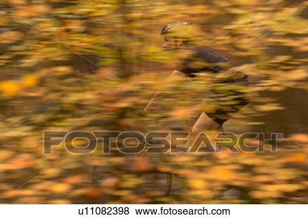 Man cycling in Autumn woods View Large Photo Image Stock Photo - Man cycling in Autumn woods. Fotosearch
