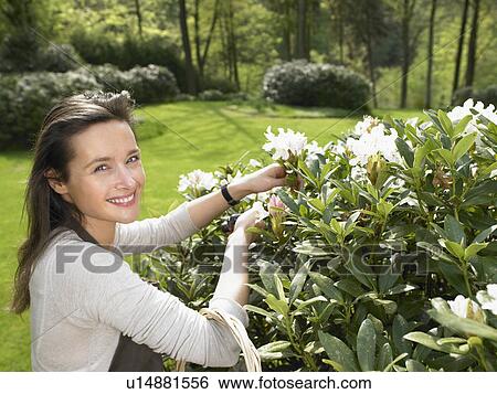 Woman gardening outdoors smiling. View Large Photo Image Stock Photograph - Woman gardening outdoors smiling.. Fotosearch