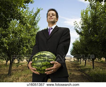 Stock Photo - Man carrying melon in orchard low view.. Fotosearch