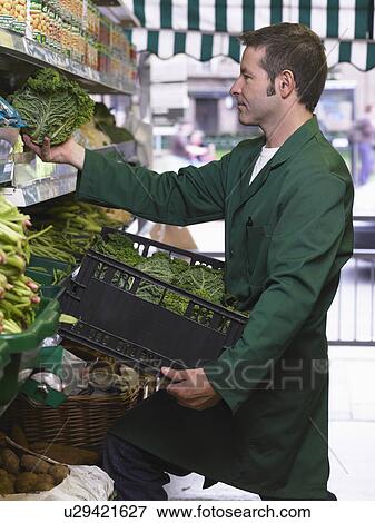 Grocer filling shelves with vegetables View Large Photo Image Stock Photo - Grocer filling shelves with vegetables. Fotosearch