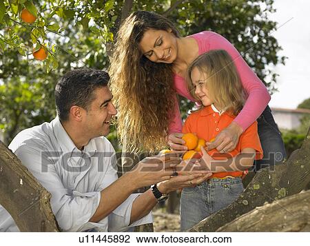 Portrait of young girl (5-7)and parents with oranges, Alicante, Spain, View Large Photo Image Stock Image - Portrait of young girl (5-7)and parents with oranges, Alicante, Spain,. Fotosearch