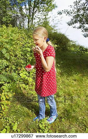 Young girl eating fresh raspberries smiling. View Large Photo Image Stock Photo - Young girl eating fresh raspberries smiling.. Fotosearch