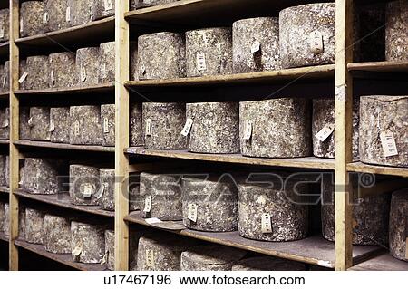 Cheese sitting on shelves. View Large Photo Image Stock Photograph - Cheese sitting on shelves.. Fotosearch