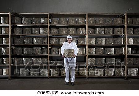Man holding large cheese in front of rack of cheese. View Large Photo Image Stock Photo - Man holding large cheese in front of rack of cheese.. Fotosearch