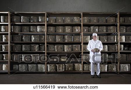 Man holding small cheese in front of rack of cheeses. View Large Photo Image Stock Photo - Man holding small cheese in front of rack of cheeses.. Fotosearch