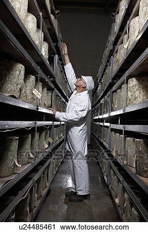 Man reaching up in between two shelves of cheeses. View Large Photo Image Stock Image - Man reaching up in between two shelves of cheeses.. Fotosearch