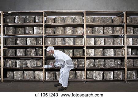 Man with clipboard leaning down by rack of cheeses. View Large Photo Image Stock Image - Man with clipboard leaning down by rack of cheeses.. Fotosearch
