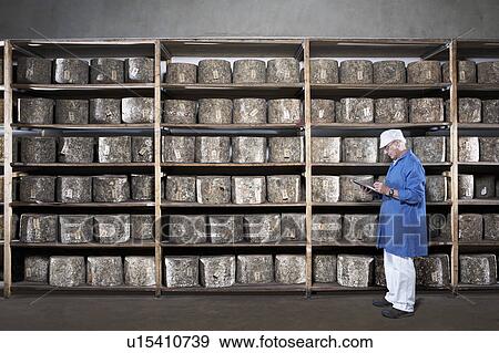 Man with clipboard standing by rack of cheeses. View Large Photo Image Stock Photo - Man with clipboard standing by rack of cheeses.. Fotosearch