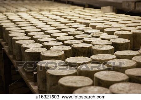 Many cylinders of cheese. View Large Photo Image Stock Image - Many cylinders of cheese.. Fotosearch