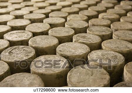 Stock Image - Many cylinders of cheese.. Fotosearch
