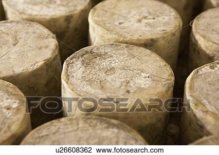 Many cylinders of cheese. View Large Photo Image Stock Image - Many cylinders of cheese.. Fotosearch