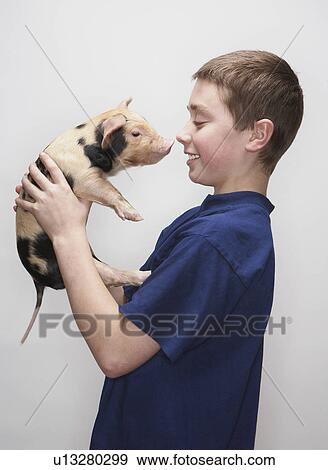 Boy holding piglet View Large Photo Image Stock Photo - Boy holding piglet. Fotosearch