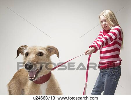 Girl pulling a lurcher on lead View Large Photo Image Stock Image - Girl pulling a lurcher on lead. Fotosearch