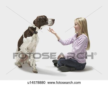 Girl tickling Pointers chin View Large Photo Image Stock Image - Girl tickling Pointers chin. Fotosearch