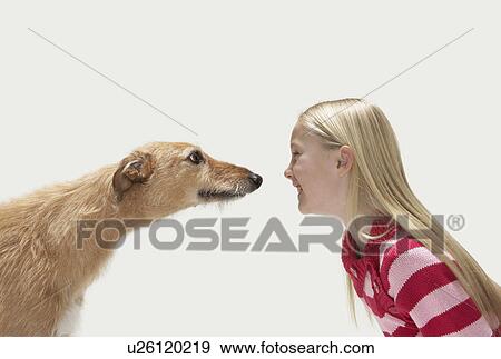 Stock Photo - Profile of girl and lurcher. Fotosearch