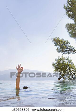 Arm of young man in a pool View Large Photo Image Stock Photograph - Arm of young man in a pool. Fotosearch
