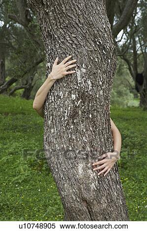 Arms of young woman hugging an olive tree trees in background. View Large Photo Image Stock Photography - Arms of young woman hugging an olive tree trees in background.. Fotosearch