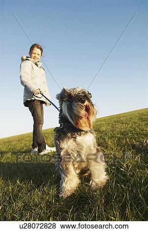 Girl holds dog on lead on hill View Large Photo Image Stock Photo - Girl holds dog on lead on hill. Fotosearch