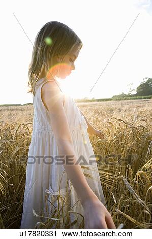 Stock Image - Girl walking in corn field, lens flare. Fotosearch