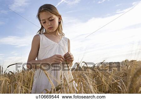 Picture - Young girl standing in corn field. Fotosearch