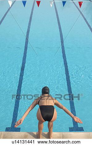 Female swimmer preparing to dive, rear view View Large Photo Image Stock Image - Female swimmer preparing to dive, rear view. Fotosearch
